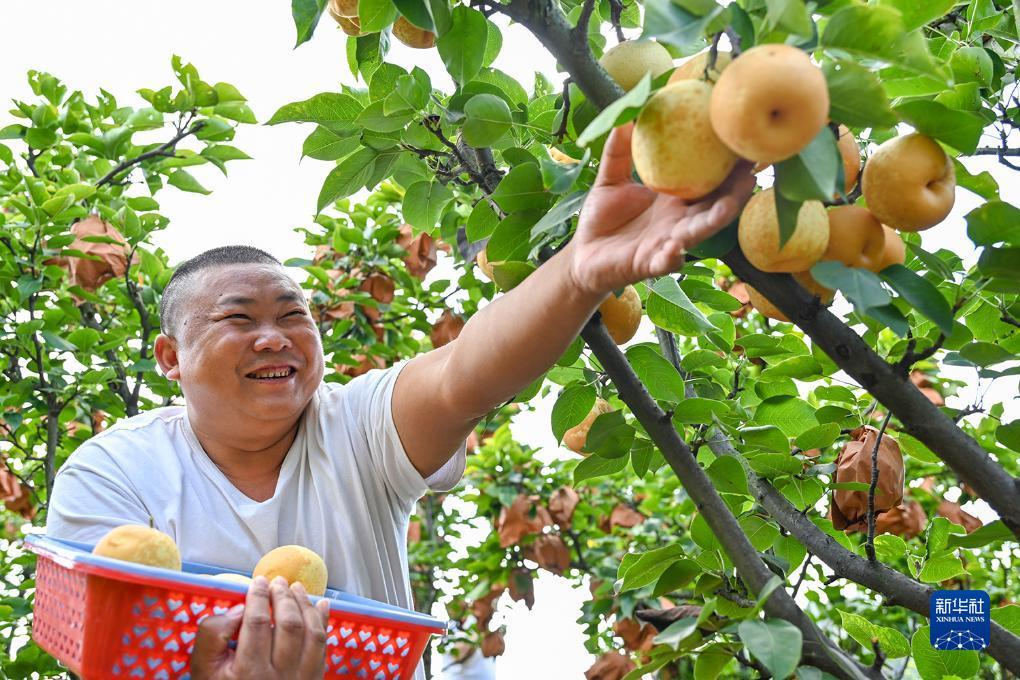 乐赢电子游戏